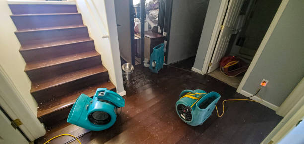  Elgin, MN Water damage restoration Pros