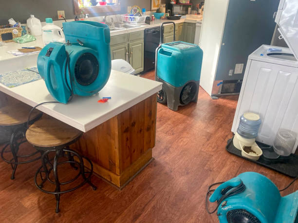 Best Flood damage cleanup  in Elgin, MN