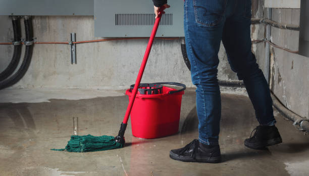 Best Emergency water damage restoration  in Elgin, MN