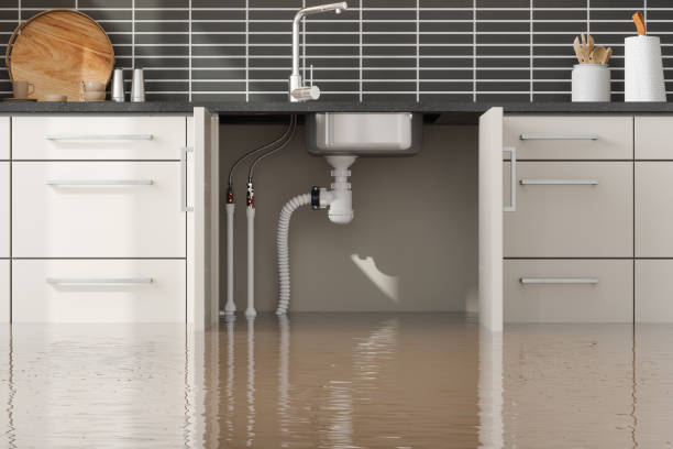 Best Local water damage restoration  in Elgin, MN
